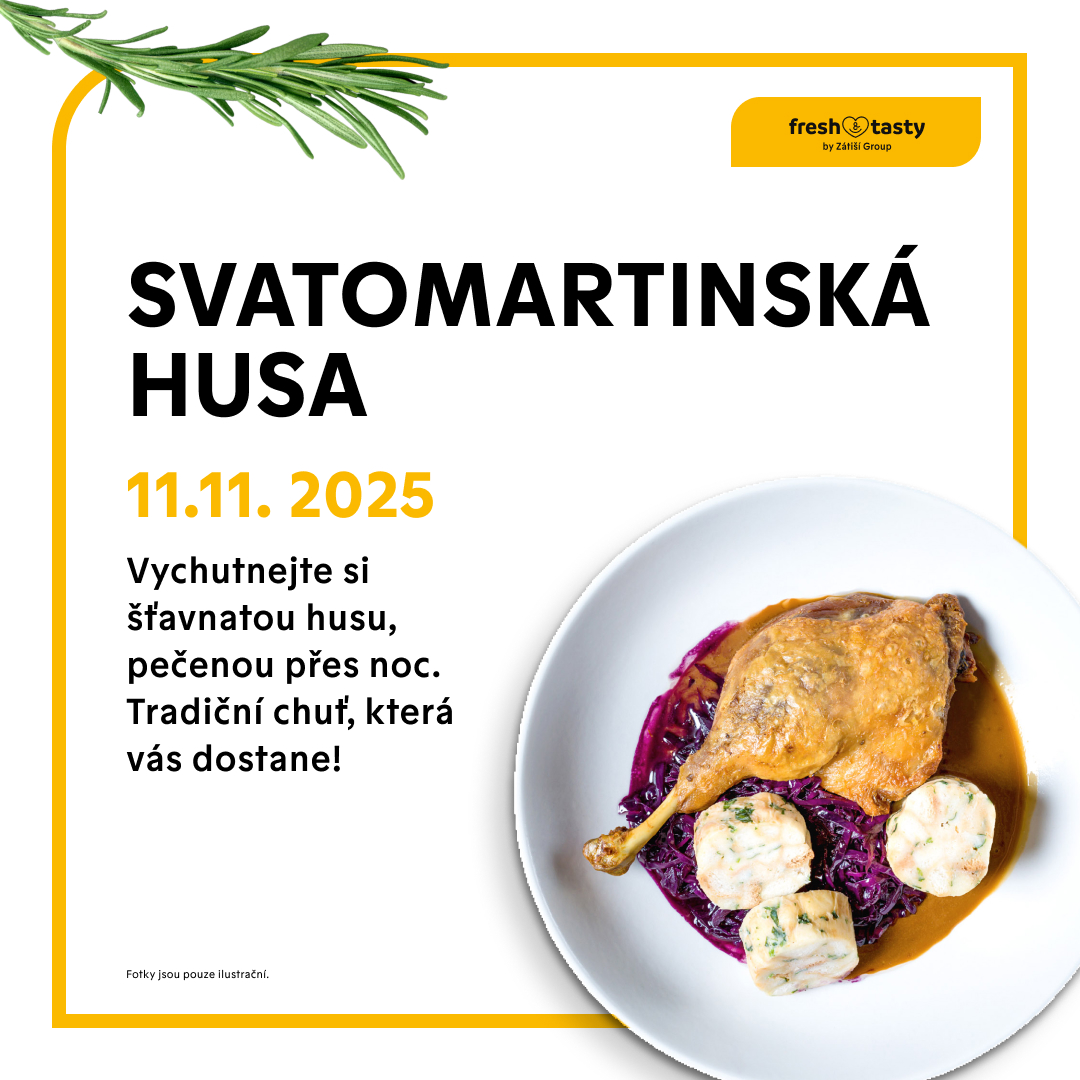 Svatomartinská husa