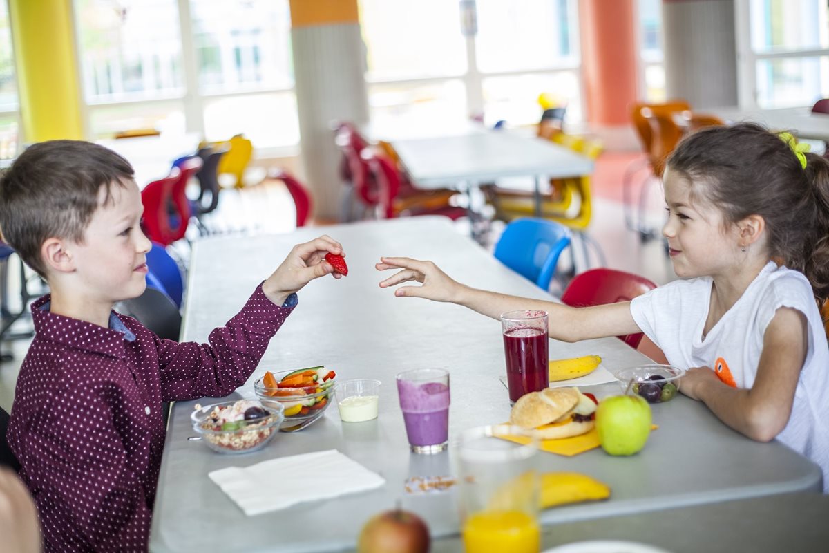 <p>Až 50 % zisku Zátiší Group putuje na pomoc znevýhodněným lidem po celém světě.</p>
